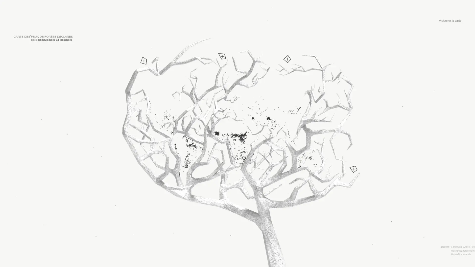 Feux de Forest